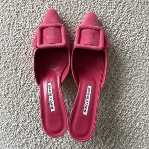 Manolo Blahnik Maysale 50mm Suede Mules *brand new in box*